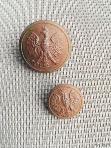 Пуговица Польша большая и малая с рубля!