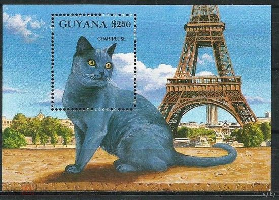 Гайана Картезианская кошка Шартрез Эйфелева башня 1992  MNH