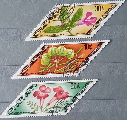 Монголия цветы 3шт