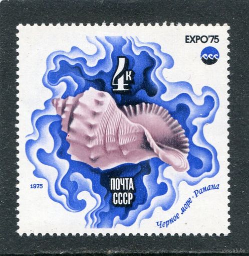 СССР 1975. Морская фауна. Ракушка Рапана