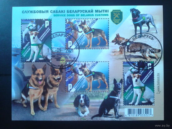 2021 Служебные собаки Блок