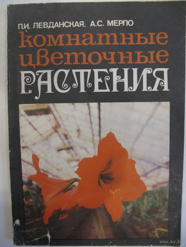 Комнатные цветочные растения