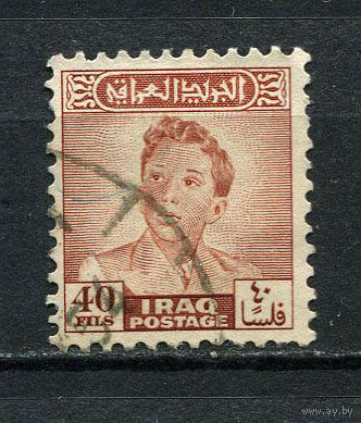 Ирак - 1948/1950 - Король Фейсал II 40F - [Mi.141] - 1 марка. Гашеная.  (LOT Dj25)