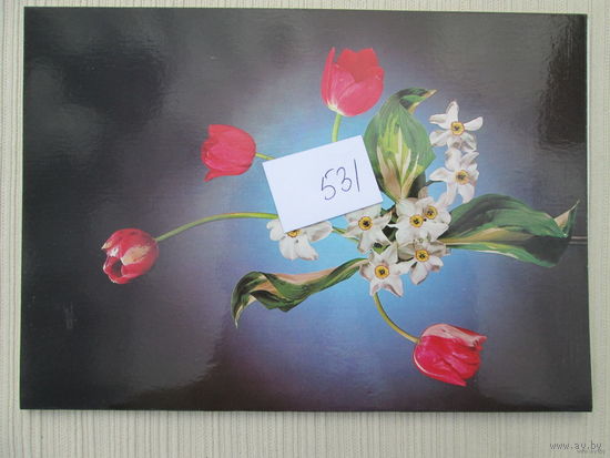 Открытка двойная Размер 20*15 лот 531