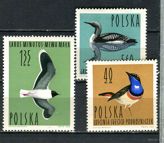 Польша - 1964 - Птицы - 3 марки. MNH, MLH.  (Лот 14Gy)-T4P28
