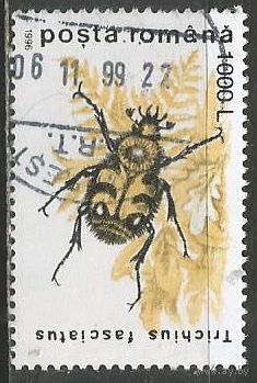 Румыния. Жук восковик. 1996г. Mi#5168.