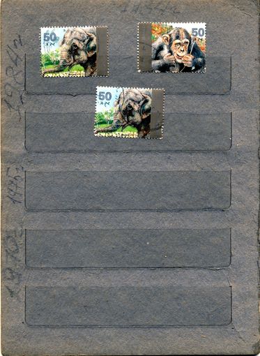 ИЗРАИЛЬ, 1992,  ФАУНА,  3м  по 25 коп шт гашеная