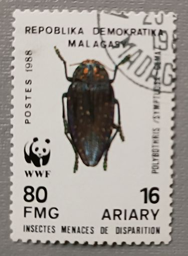 Мадагаскар, 1988. Жук