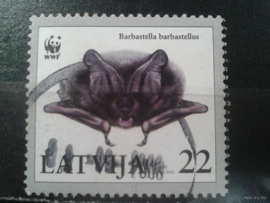 Латвия, 2008. WWF. Летучая мышь-мопс