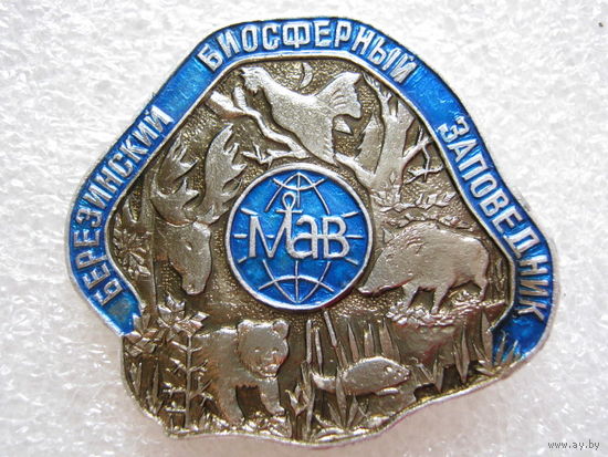 Березинский биосферный заповедник.