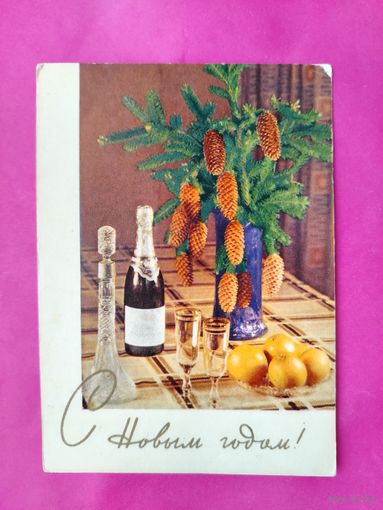 С новым годом! Чистая. 1965 года. Фото Скороспехова. 2189.