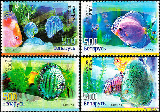 Беларусь 2006  Аквариумные рыбки.Дискусы