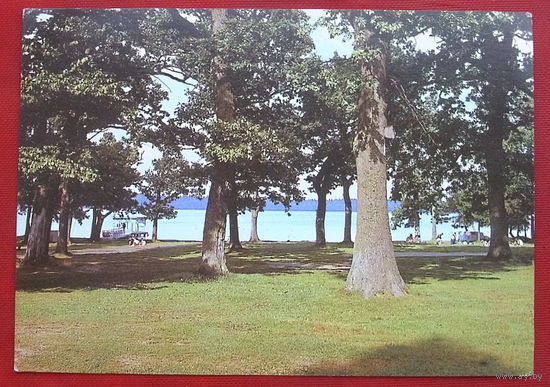 У озера Свитязь. 1983 года. Чистая. Фото Захарченко. 823.