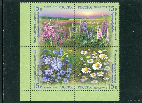 Россия 2014. Полевые цветы, квартблок