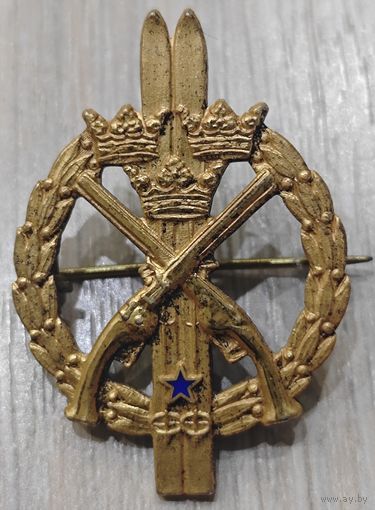 Знак серебряный с позолотой. Редкий. Швеция. Лыжи, стрельбы