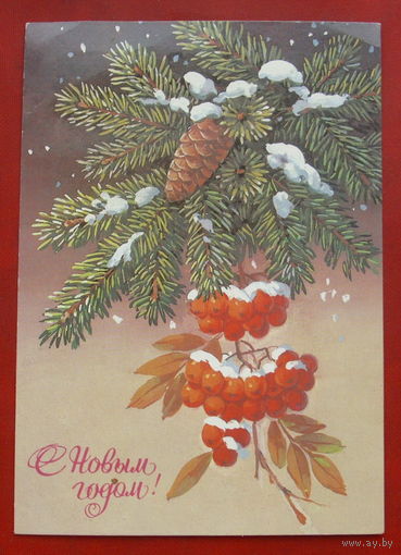 С новым годом! Чистая. 1985 года. Куртенко. 1645.
