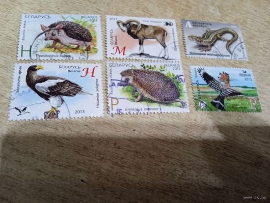 Зоопарки Беларуси.  Беларусь 2012-2013