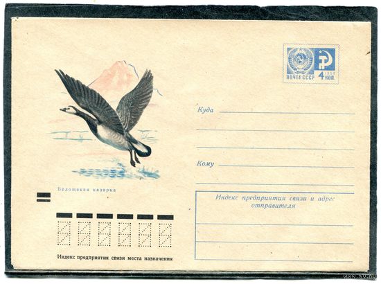 СССР 1971. ХМК. Конверт. Фауна. Белощекая казарка