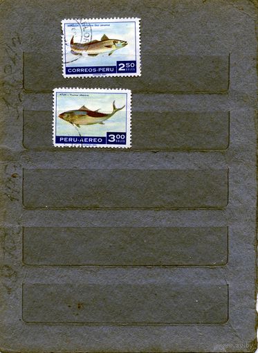 ПЕРУ,   РЫБЫ    2м гашен
