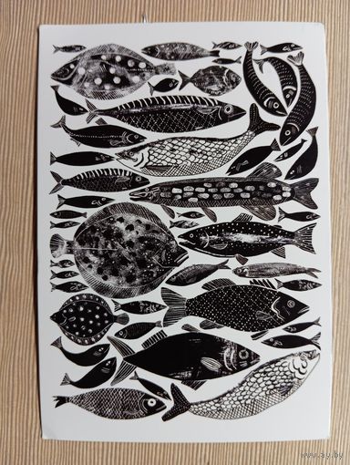 О-10. ПОДПИСАННАЯ ОТКРЫТКА. ГЕРМАНИЯ. РЫБЫ. ХУДОЖНИК ЭЛИС ПЕТТУЛЛО.