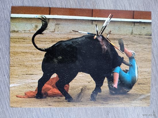 Барселона, коррида