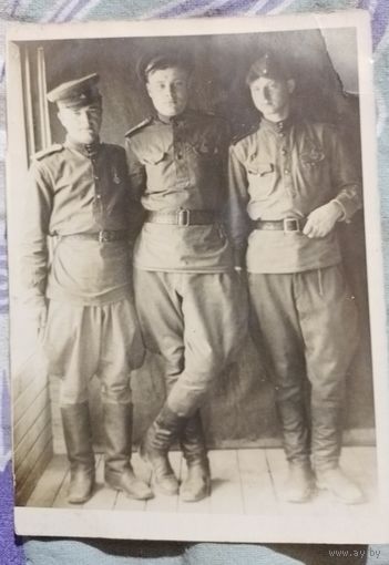 Фото в коллекцию