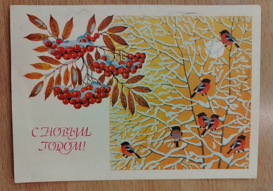 С Новым годом 1988 Базаров Подписана