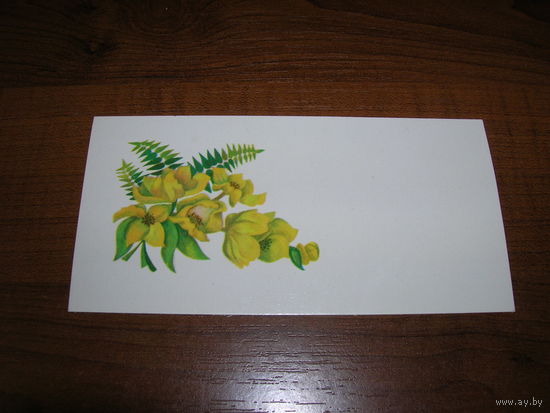 Цветы 1979 год Латвия Рига Мини Чистая