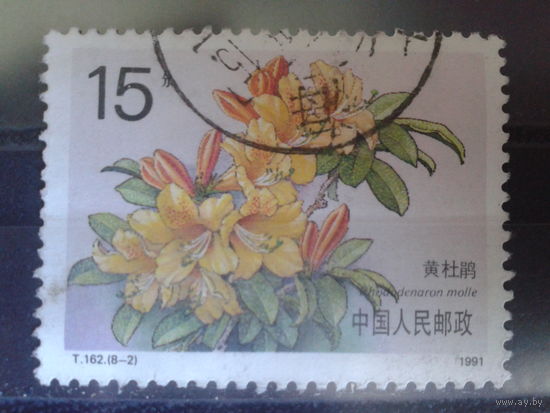 Китай, 1991. Рододендрон