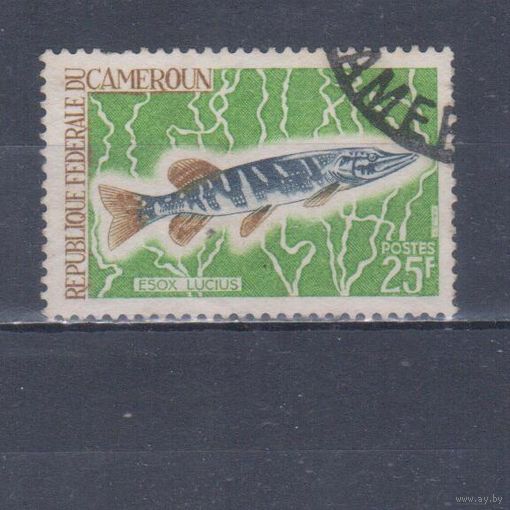 [6] Камерун 1968. Фауна.Рыба.25 ф. Гашеная марка.
