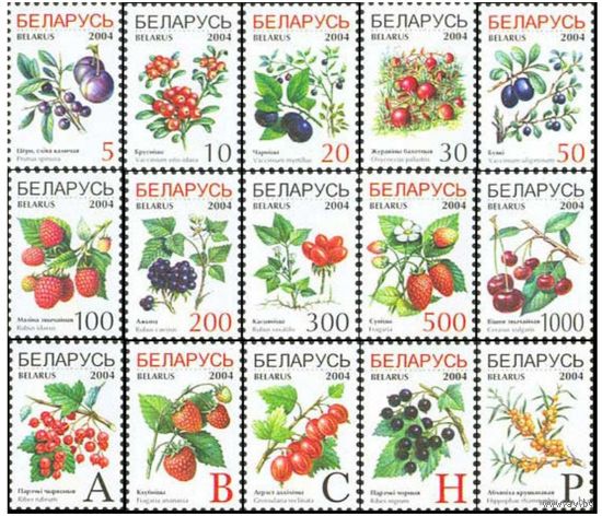 Лесные и садовые ягоды. Беларусь, 2004. Стандартный выпуск, 15 марок