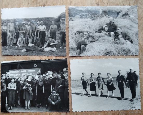 Лот фотографий "Студенты на целине". Конец 1950-х. 9х11 см. 4 фото. Цена за все.