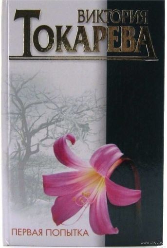 Первая попытка