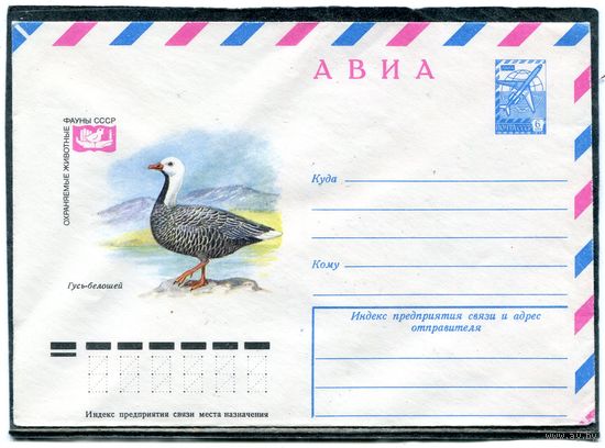 СССР 1978. ХМК. Конверт Авиа. Фауна. Гусь белошей