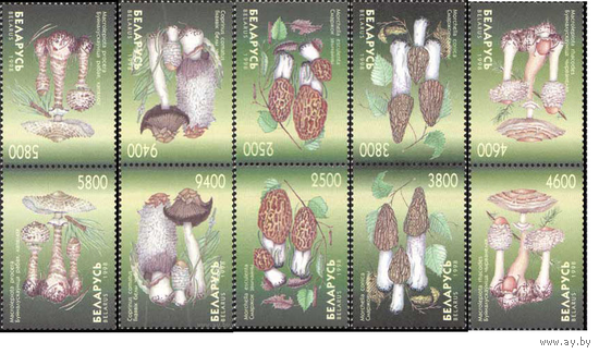 Грибы Беларусь 1998 год (291-295) серия из 5 марок тет-беш**