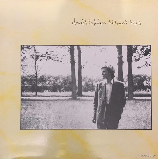 David Sylvian – Brilliant Trees / UK 1984
