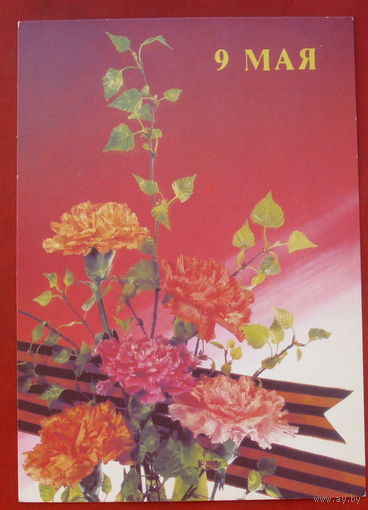 9 мая! Чистая. 1991 года. Дергилев. 2030.