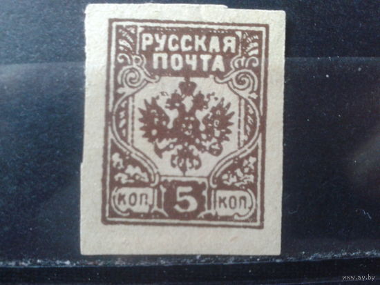 Россия 1919 Гражданская война 5 коп*