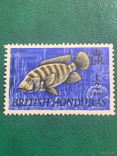 Гондурас 1969. Британская колония. Рыбы. Мозамбикская Тилапия