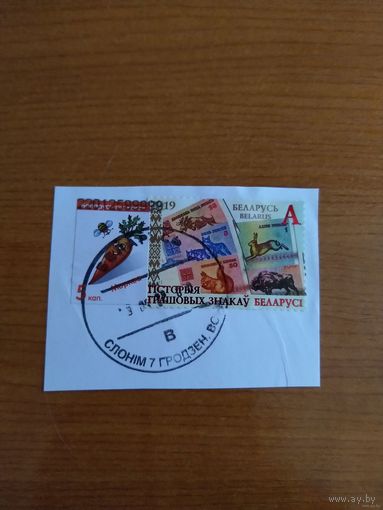 Беларусь флора фауна вырезка с гашением Слонима (5-10)