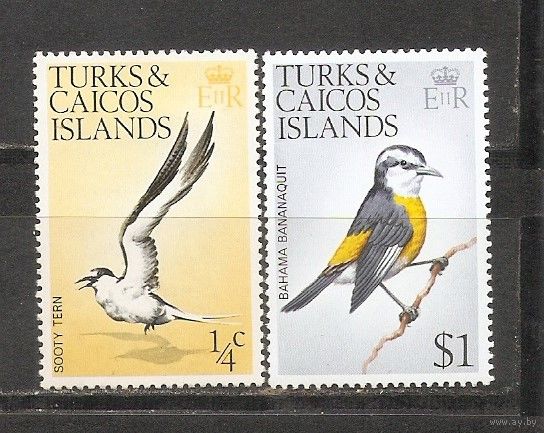 ФФ2 Терк и Кайкос 1973 Птицы