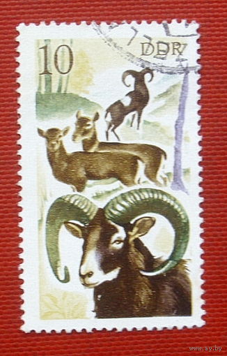 ГДР. Фауна. ( 1 марка ). 2-1.
