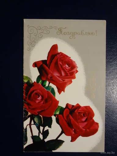 Поздравляю!  Розы.  1976 г.  подписанная. двойная.
