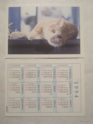 Карманный календарик. Котик.1994 год