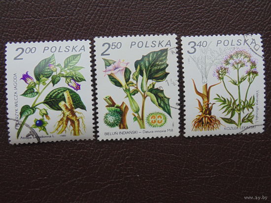Польша 1980 г. Цветы.