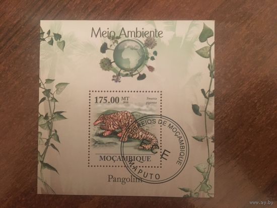 Мозамбик 2010. Броненосец (блок)