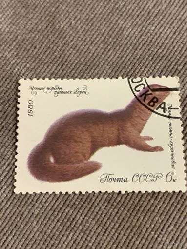 СССР 1980. Норка темно-коричневая. Марка из серии