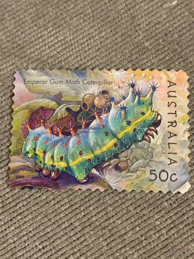 Австралия 2003. Гусеница. Emperor Gum Math Caterpillar