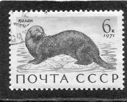СССР 1971.. Фауна. Калан