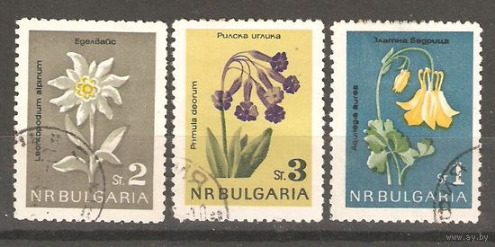 БОЛГАРИЯ 1963 ЦВЕТЫ 3М СТО, Н/С ФЛОРА